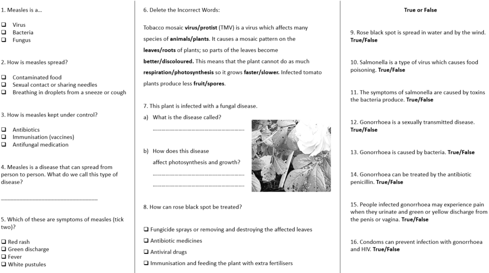 Communicable Disease Examples Worksheet