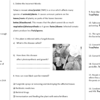 Communicable Disease Examples Worksheet