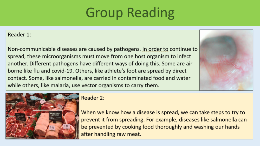 Disease Spread and Prevention Group Reading Exercise