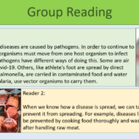 Disease Spread and Prevention Group Reading Exercise