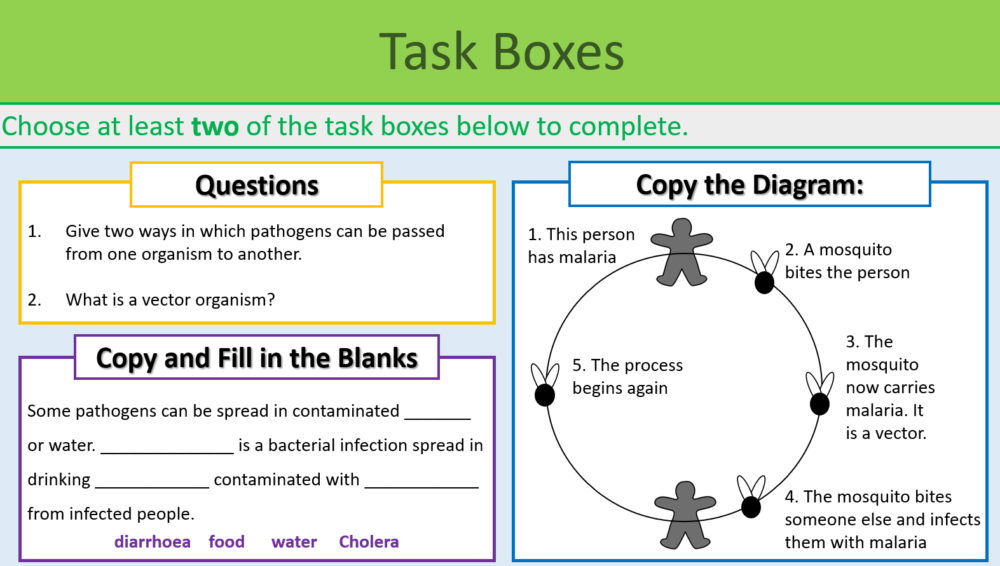 Disease Spread and Prevention Task Boxes Exercise