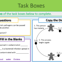 Disease Spread and Prevention Task Boxes Exercise