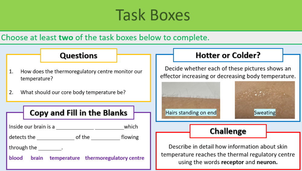 Controlling Body Temperature Task Boxes