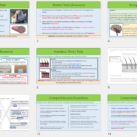 GCSE Biology Topic 5: Controlling Body Temperature lesson slide thumbnails