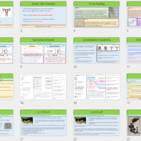 GCSE Biology Topic 5: Controlling Fertility lesson slide thumbnails