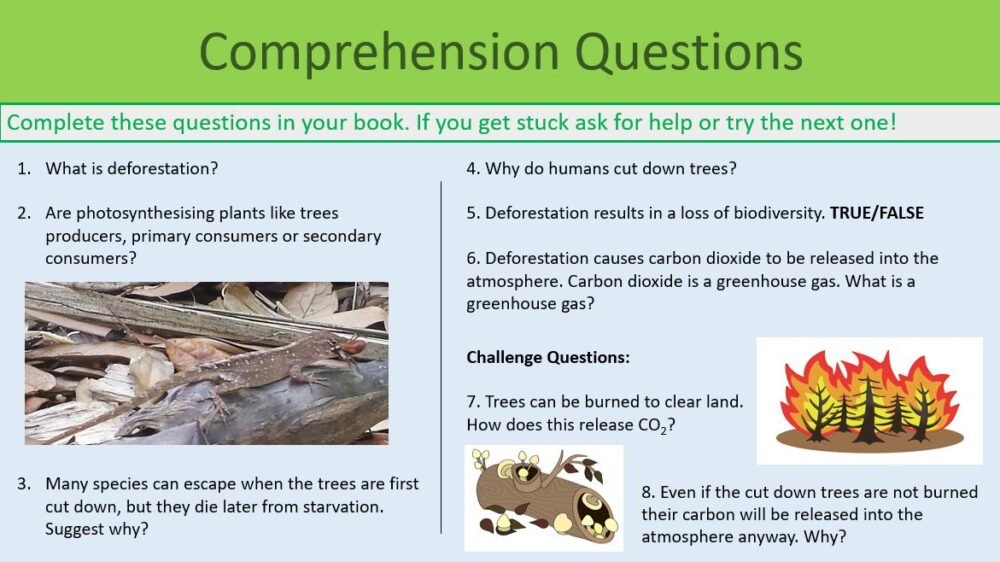 Deforestation and Land Use