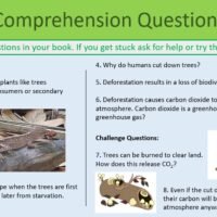 Deforestation and Land Use