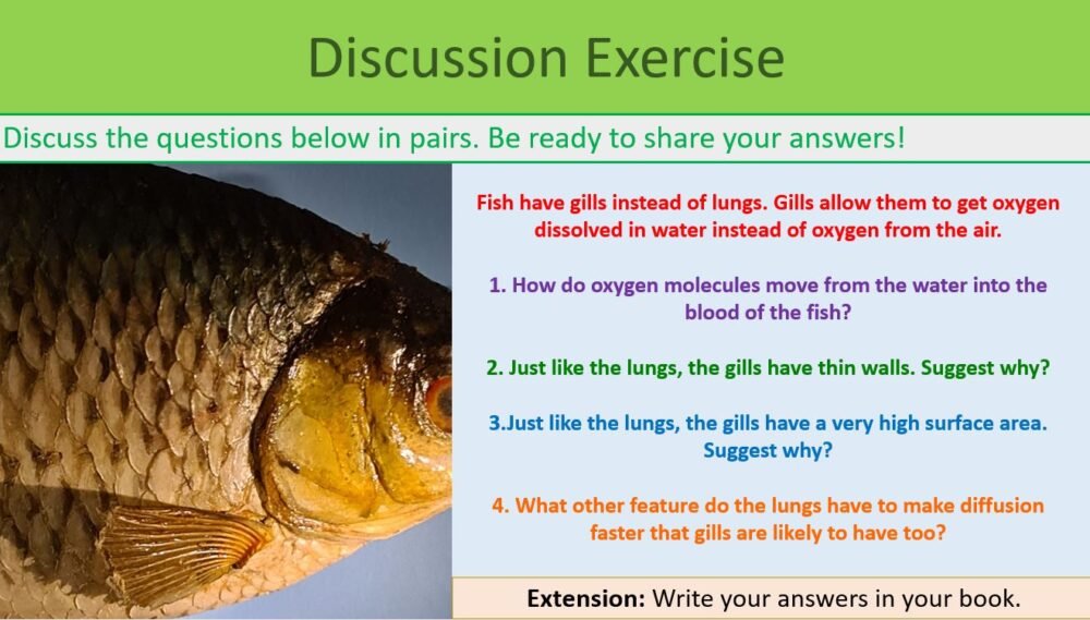 Discussion Exercise