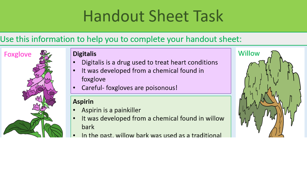 Drugs Handout Sheet Task
