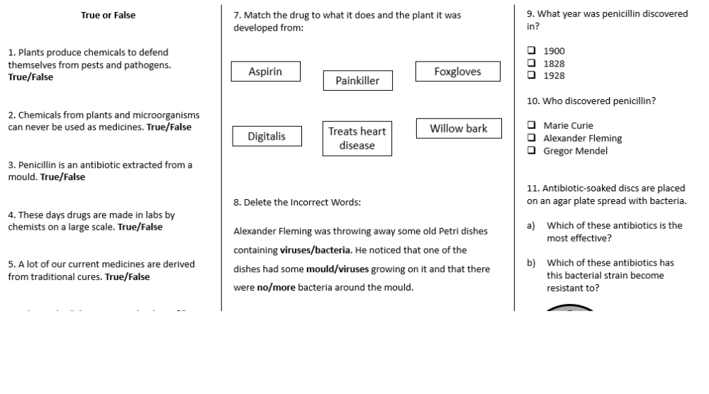 Drugs Worksheet