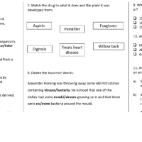 Drugs Worksheet