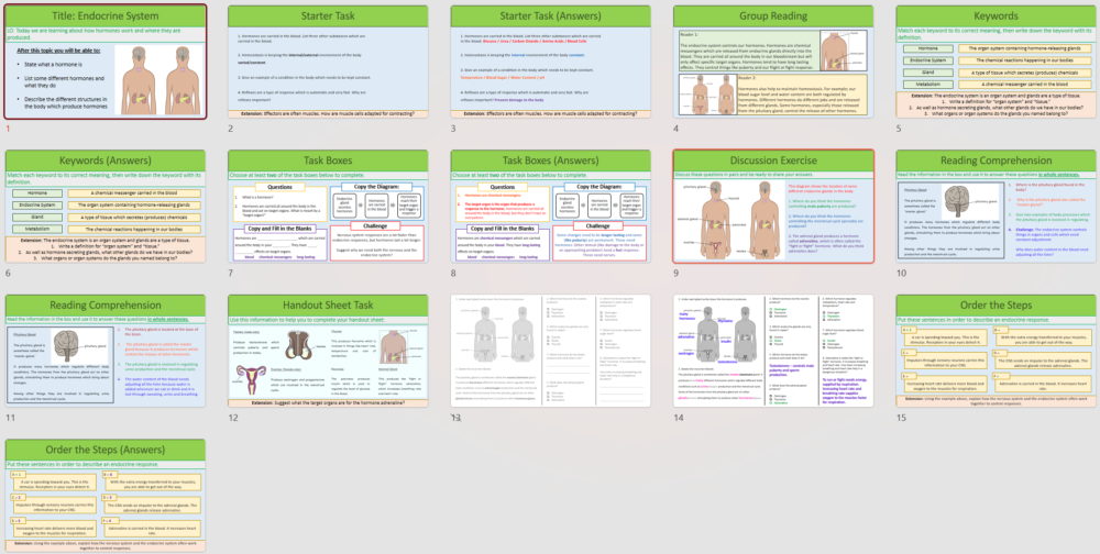 GCSE Biology Topic 5: Endocrine System Lesson slide thumbnails