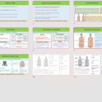 GCSE Biology Topic 5: Endocrine System Lesson slide thumbnails