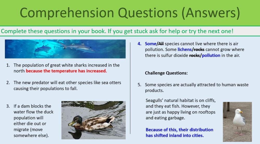 Environmental Change Comprehension