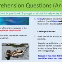 Environmental Change Comprehension