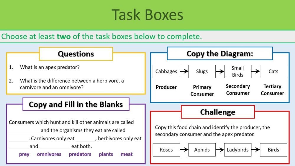 Food Chains and Trophic Levels