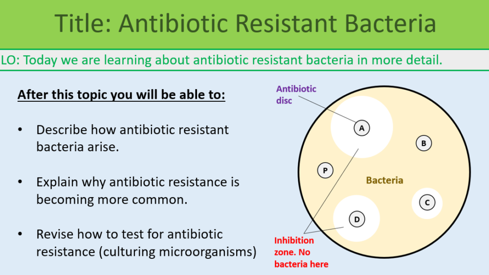 GCSE Biology Topic 6 Antibiotic Resistant Bacteria Learning Objectives