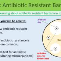 GCSE Biology Topic 6 Antibiotic Resistant Bacteria Learning Objectives