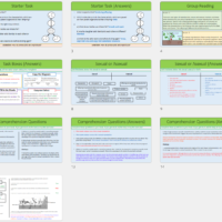 GCSE Biology Topic 6 Asexual Reproduction lesson thumbnails