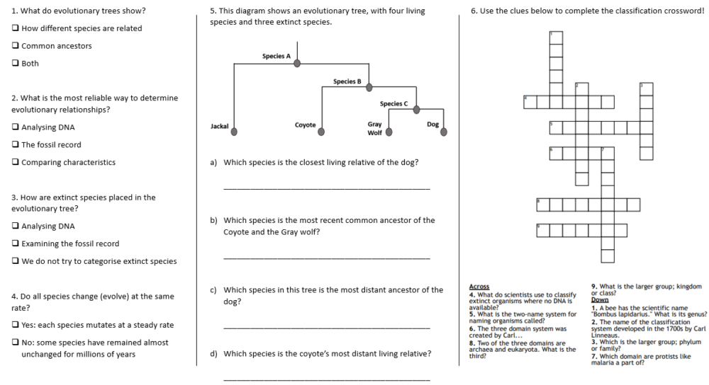 GCSE Biology Topic 6 Classification and Evolutionary Trees Lesson Worksheet