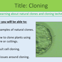 GCSE Biology Topic 6 Cloning Learning Objectives