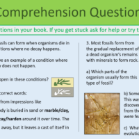 GCSE Biology Topic 6 Fossil Comprehension Questions