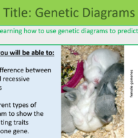 GCSE Biology Topic 6 Genetic Diagrams Learning Objectives