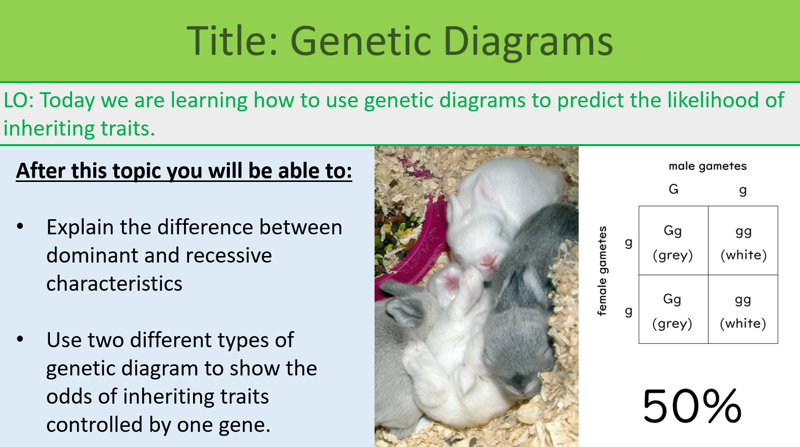GCSE Biology Topic 6: Genetic Diagrams - febolearning.com