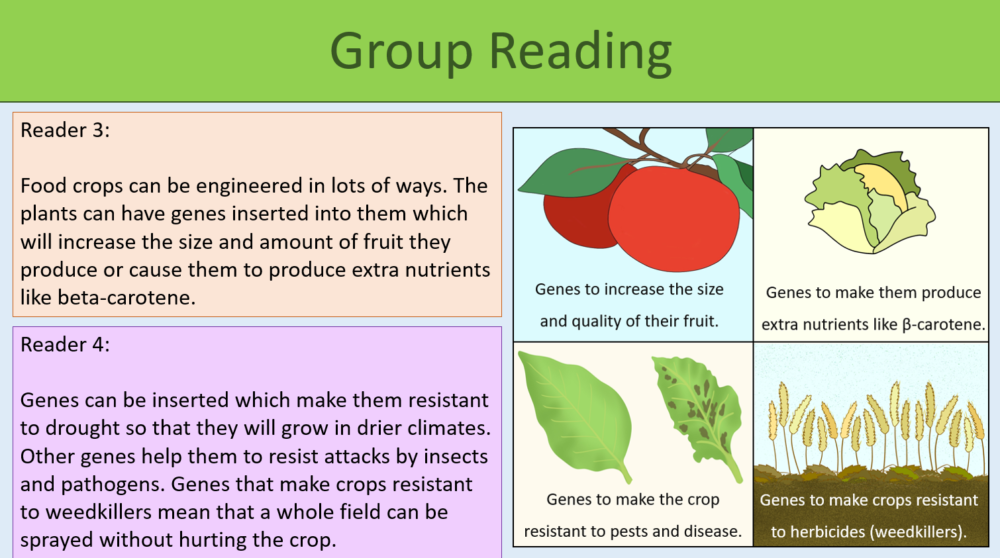 GCSE Biology Topic 6 Genetic Engineering Group reading task