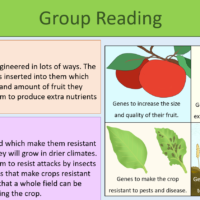 GCSE Biology Topic 6 Genetic Engineering Group reading task