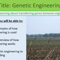 GCSE Biology Topic 6 Genetic Engineering Learning Objectives
