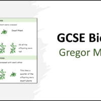 GCSE Biology Topic 6 Gregor Mendel