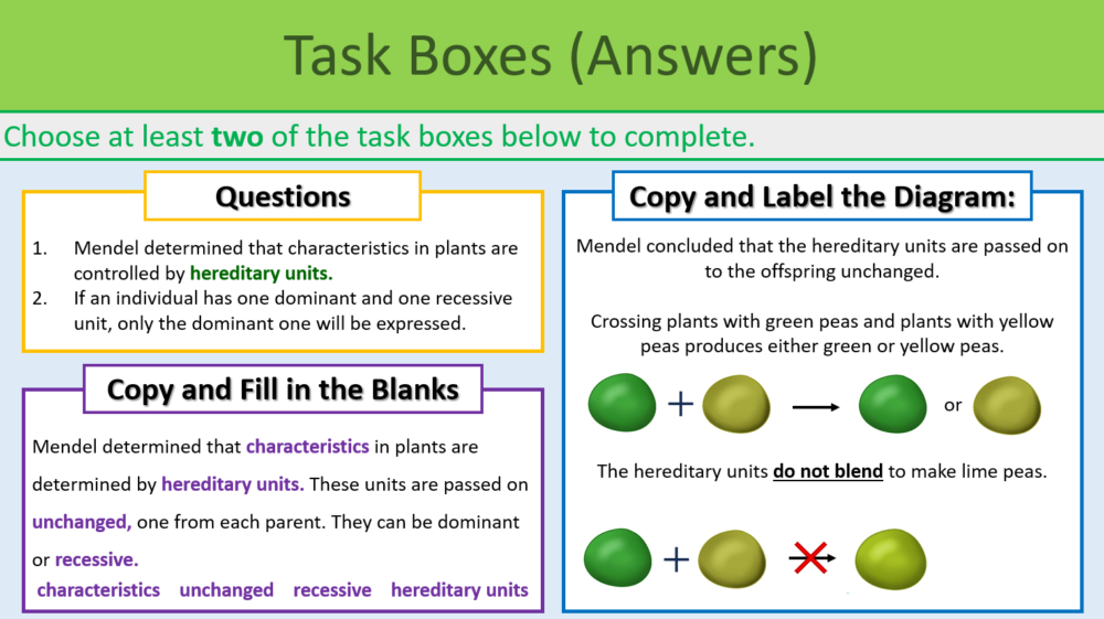 GCSE Biology Topic 6 Gregor Mendel Task Boxes