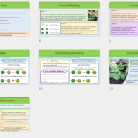 GCSE Biology Topic 6 Gregor Mendel lesson slide thumbnails