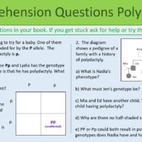 GCSE Biology Topic 6 Inherited Disorders Comprehension Questions