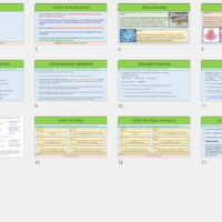 GCSE Biology Topic 6 Mutations Lesson slide thumbnails