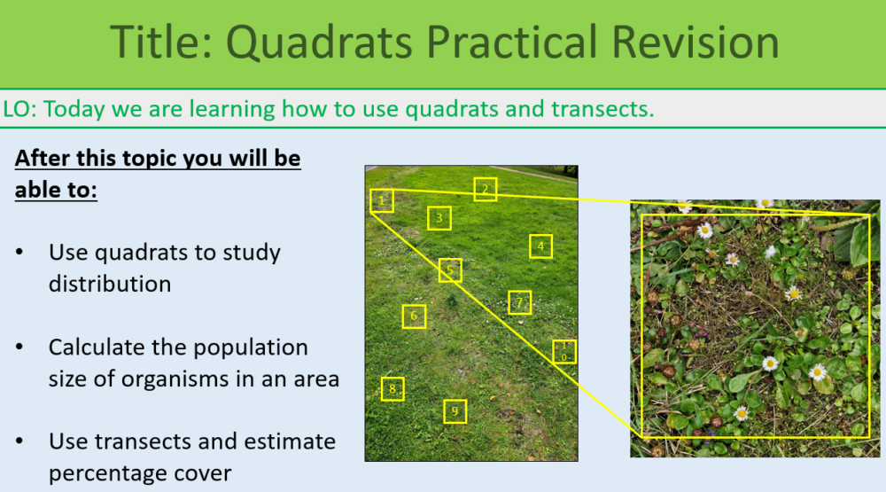 GCSE Biology Topic 6 Quadrats Practical Revision Learning Objectives