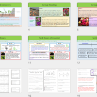 GCSE Biology Topic 6 Selective Breeding Learning Objectives