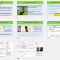 GCSE Biology Topic 6 Variation lesson slide thumbnails