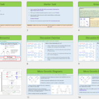 GCSE Biology Topic 6 X and Y Chromosomes lesson slide thumbnails