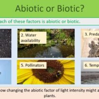 GCSE Biology Topic 7 Abiotic and Biotic Factors Questions