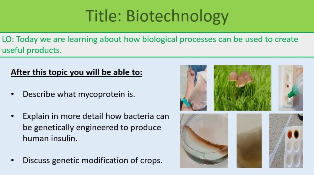 GCSE Biology Topic 7 Biotechnology Learning Objectives