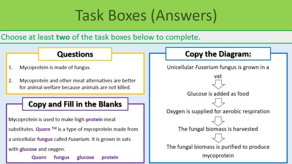 Biotechnology Task Boxes