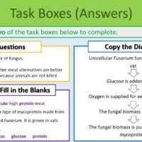 Biotechnology Task Boxes