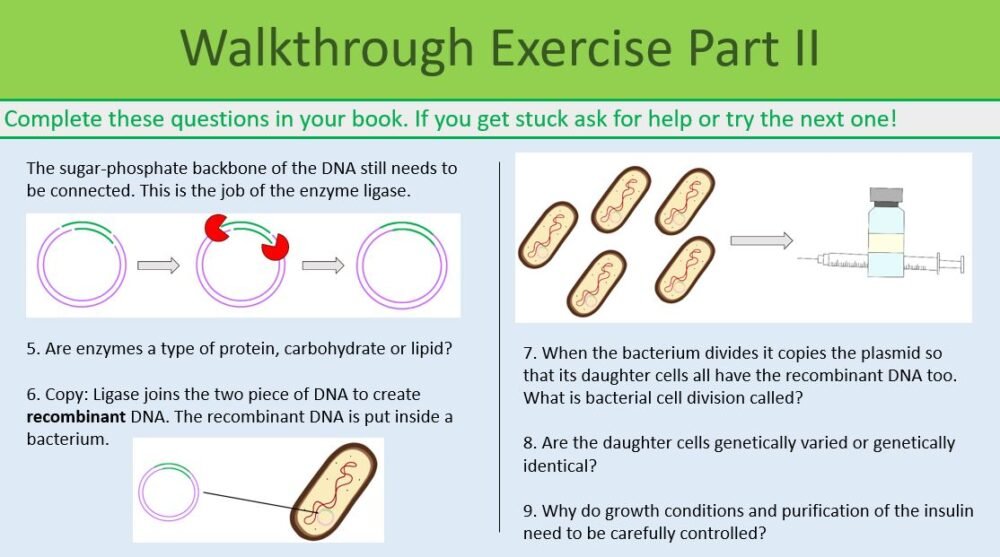Biotechnology walk through Exercise
