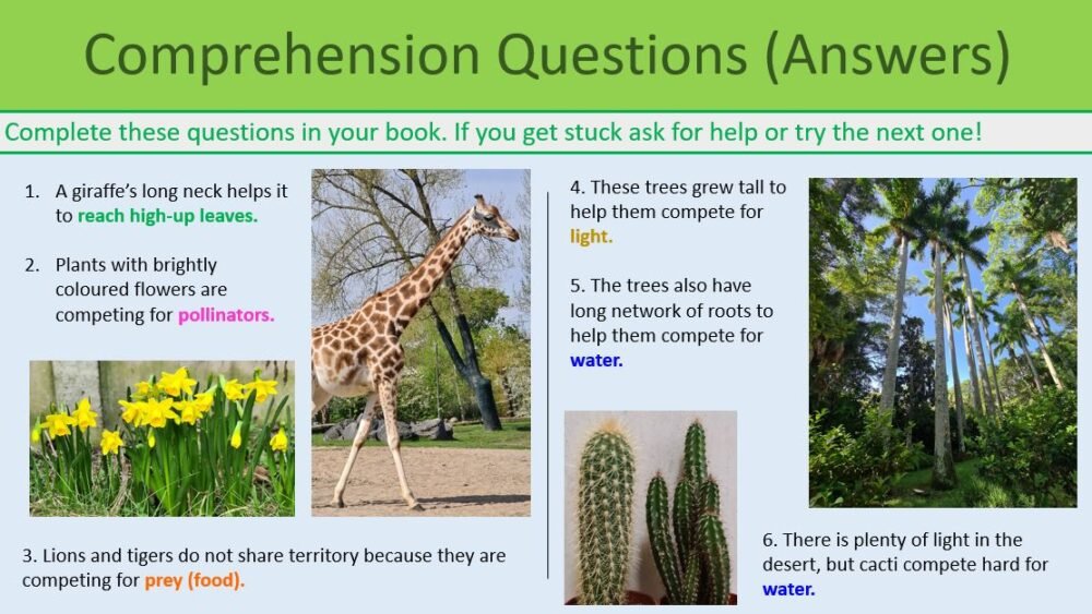 GCSE Biology Topic 7 Competition Comprehension task