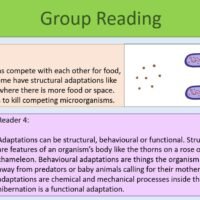 GCSE Biology Topic 7 Competition Group Reading