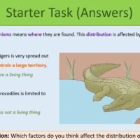 GCSE Biology Topic 7 Environmental Change Starter Task