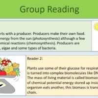 GCSE Biology Topic 7 Food Chains and Trophic Levels Group Reading