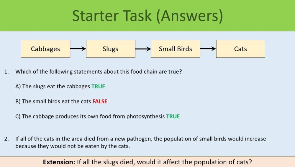 GCSE Biology Topic 7: Food Chains and Trophic Levels